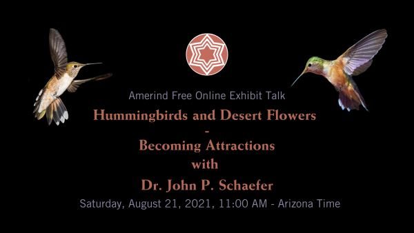 Hummingbirds and Desert Flowers -Becoming Attractions