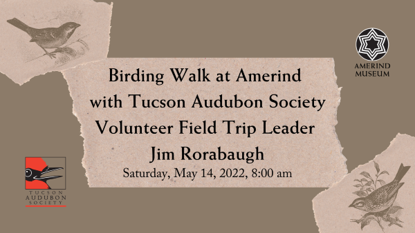 Birding Walk at Amerind with Tucson Audubon Society Volunteer Field Trip Leader Jim Rorabaugh