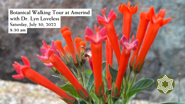 Botanical Walking Tour at Amerind with Dr. Lyn Loveless