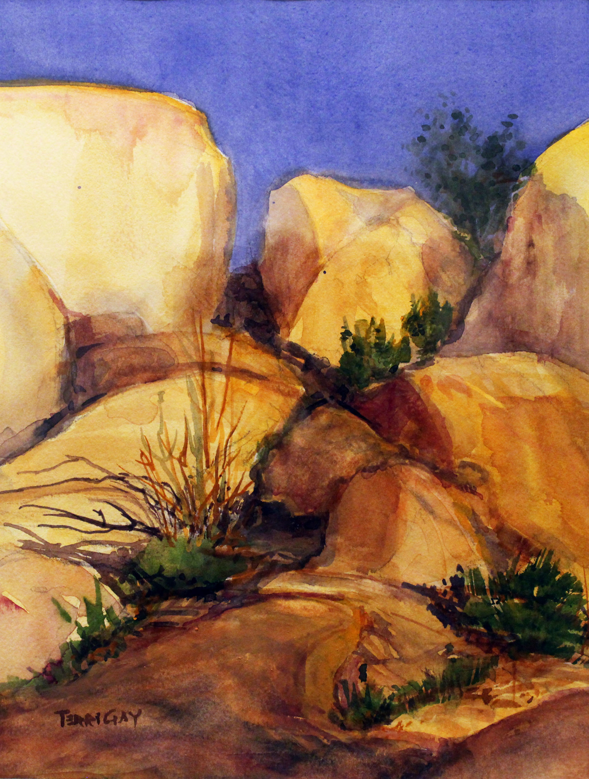 Coral Bean Boulders by Terri Gay