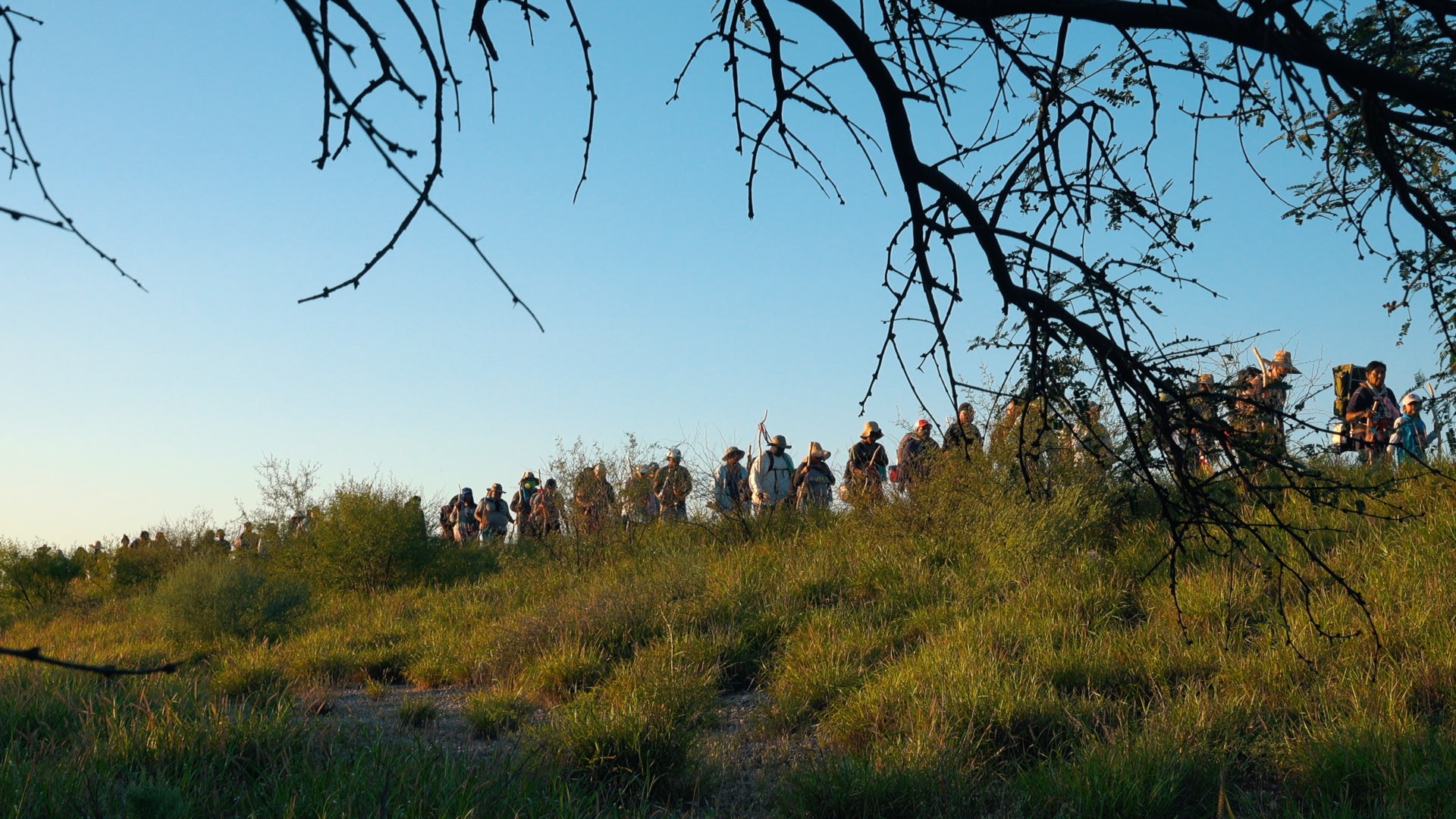 Pilgrimage to Magdalena