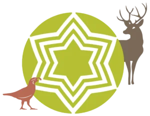 Texas Canyon Nature Preserve at Amerind